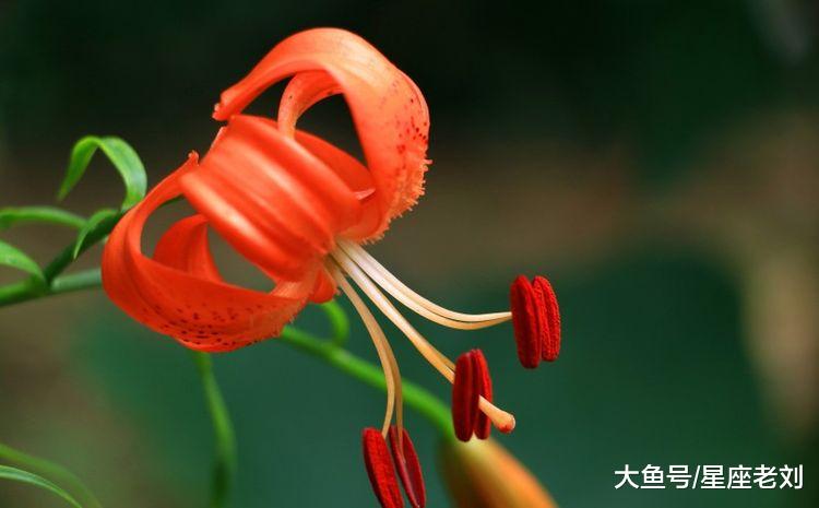 10月30号起，3大生肖，运势如虹，财运上涨，大把钱财自动来