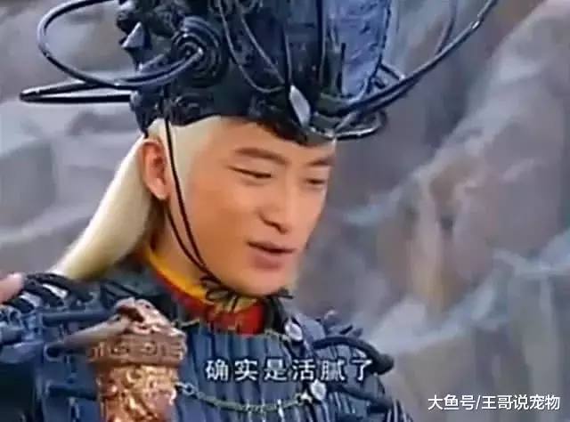 武侠剧中六大智慧型反派，贝海石垫底，雄霸排第二，第一天下无敌