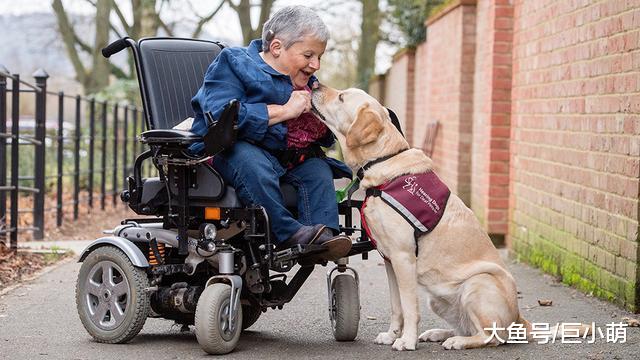 狗狗除了吃，还要注意哪些方面，才能拥有健康快乐的狗生？