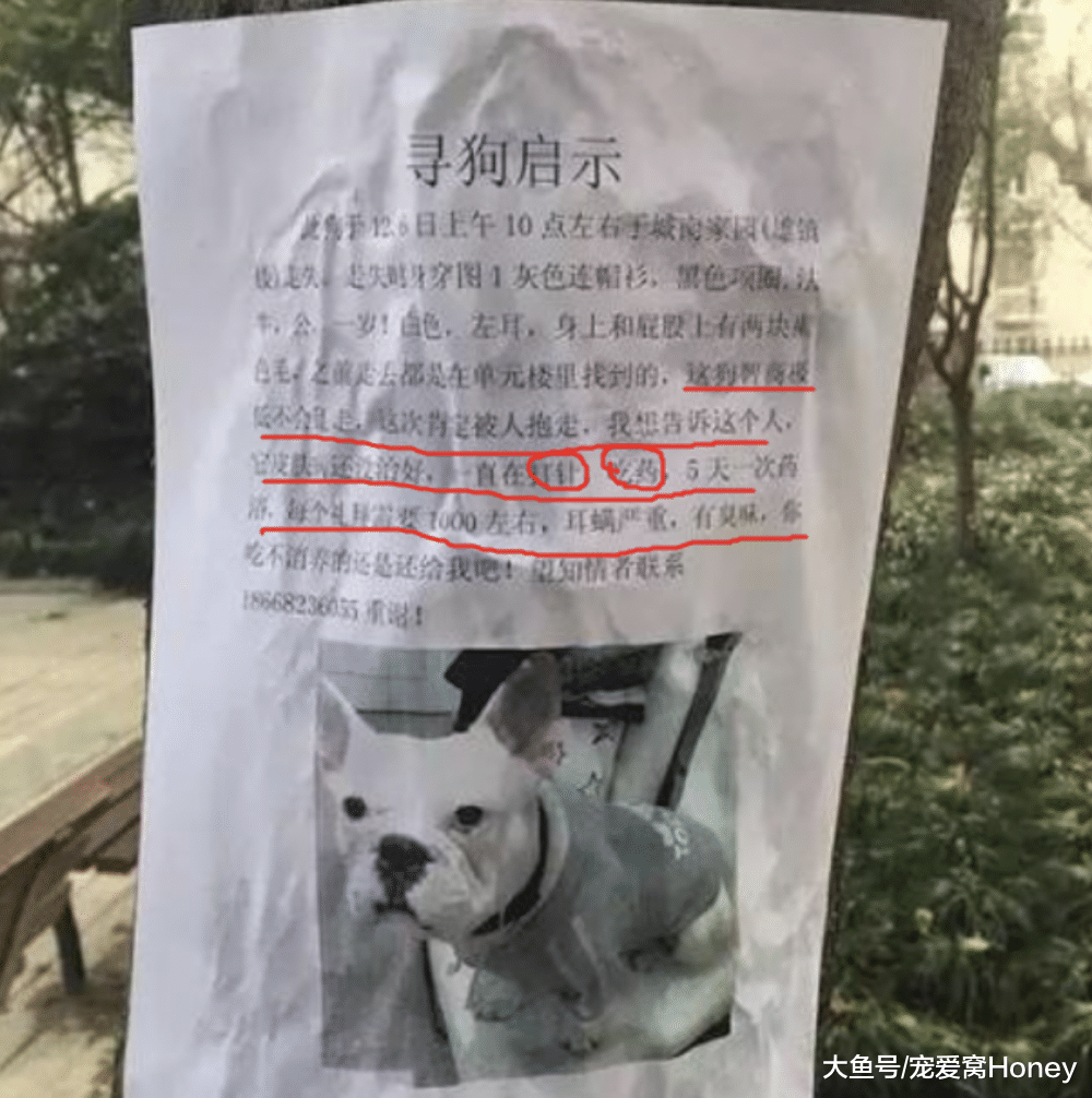 我要是“尋狗啟事”里面那個狗狗，估計是被氣得離家出走的！