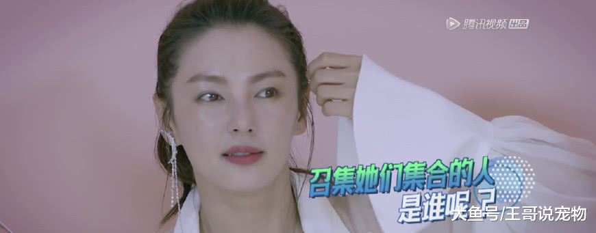 张雨绮自称体重不过百，男闺蜜当场拆穿！看到秤上数字后她闭嘴了