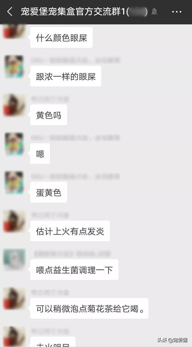 全国数百家宠物店都在做这件事——营业额翻倍, 做到这点就够了!