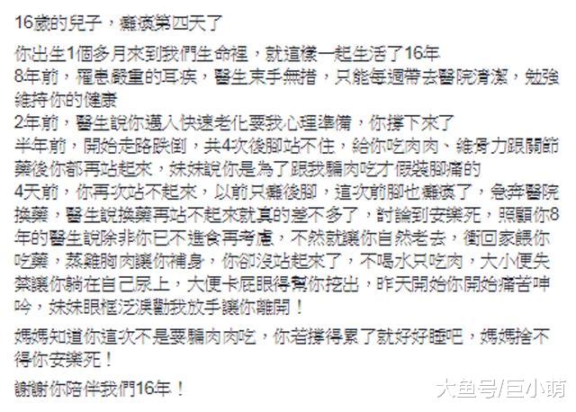 16岁老犬突然瘫痪，医生建议安乐死，主人含泪写千字长文求助