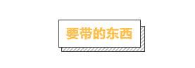 春節特輯：春節帶狗狗出門，你需要知道這些細節