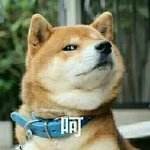 雪貂留香：当狗子记仇后，后果很严重哟！