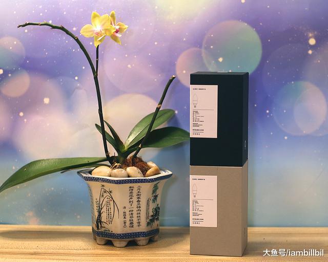冷暖光随意调七彩光更添氛围，QUBIC调调新鲜灯泡上手体验