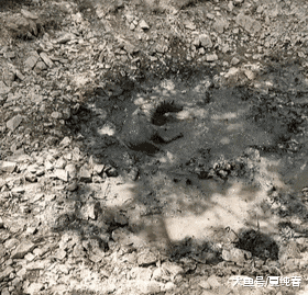 女子带金毛去郊区玩耍，中途没看住狗，再抬头时，女子：狗不要了