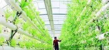 五年后农村最缺什么？