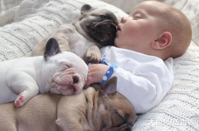 宝宝和三只小奶狗同一天出生，叼奶嘴熟睡时，内心都被萌化了！
