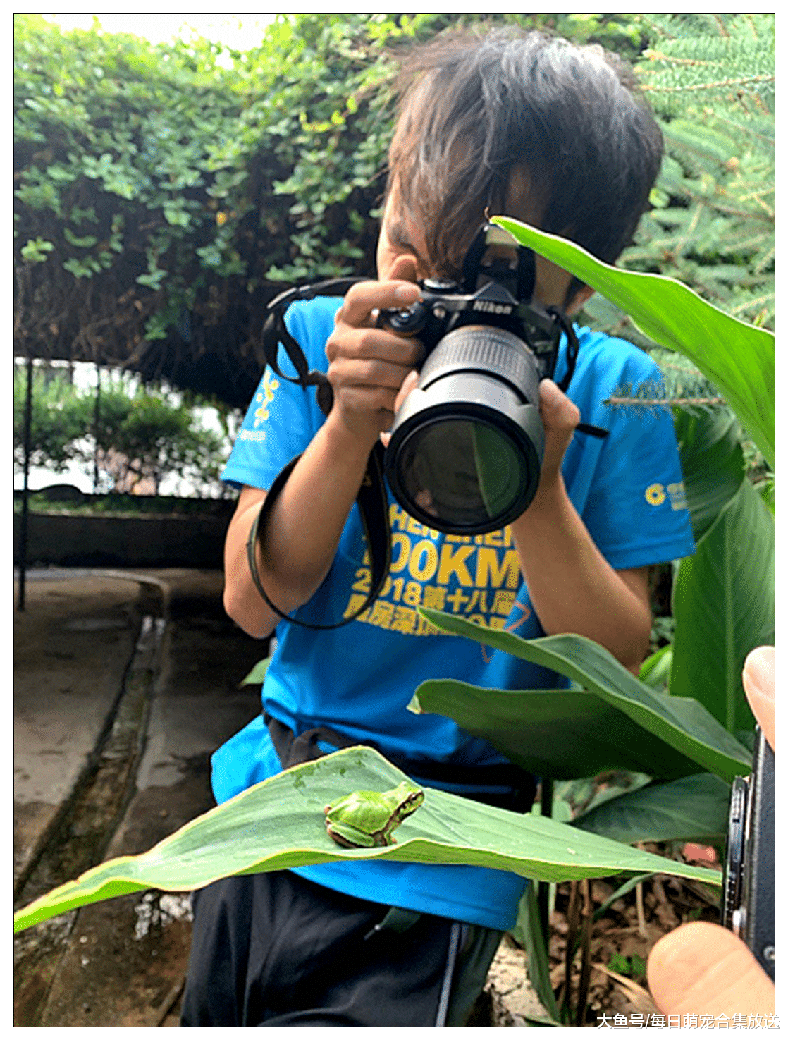 朋友圈“青蛙”摄影大赛，全方位拍照，感动不？蛙：不敢动！