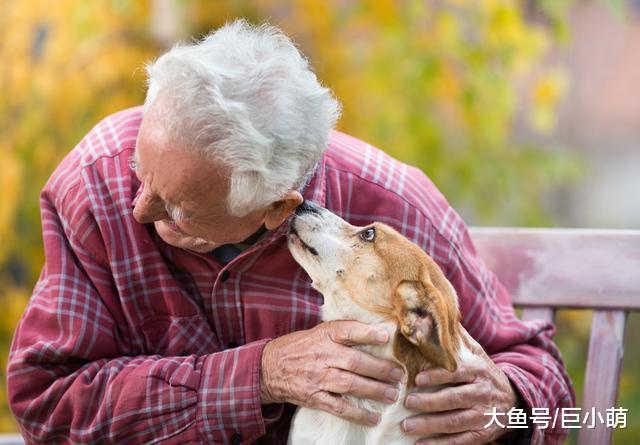 父母养狗的三大常见错误，说自己讨厌狗的他们，比你更容易宠坏狗
