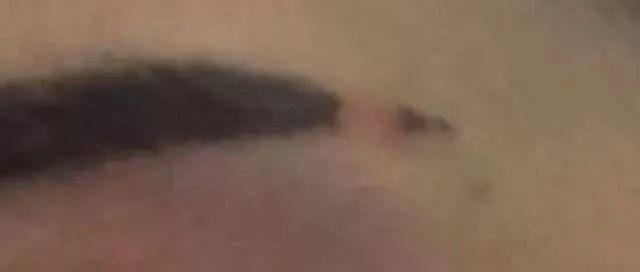 为了叫铲屎官起床，猫猫把她的眉毛舔…舔秃了？？？