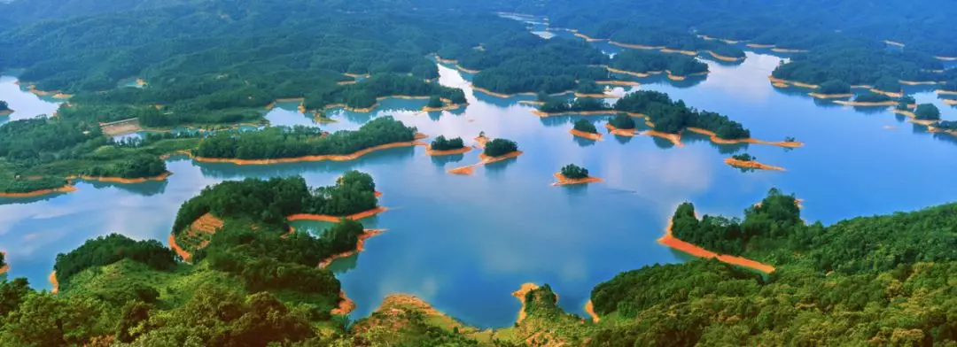 疲于奔命！这48小时，请还给我