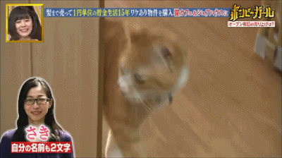 月薪5000，她是如何做到15年买3套房的