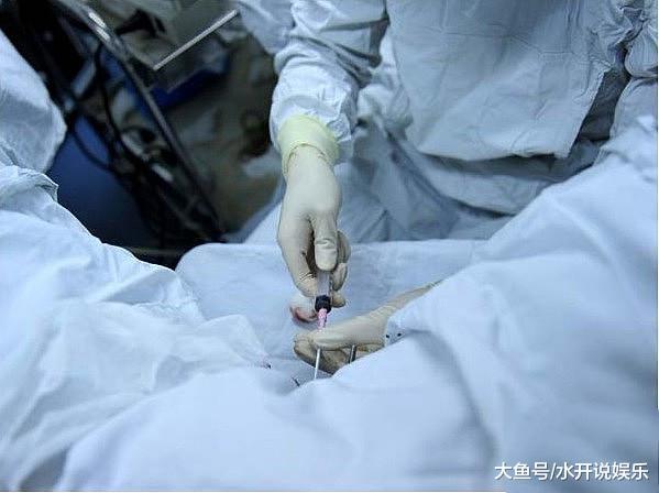 揭秘试管婴儿全过程（附图），看完后心疼女性一万遍