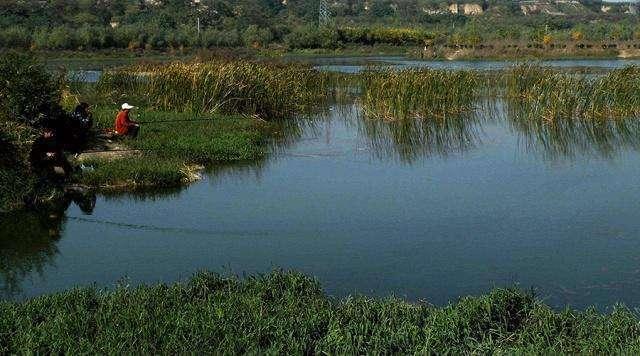 大鲫鱼又大又肥，怎么钓上来？教你两点技巧！