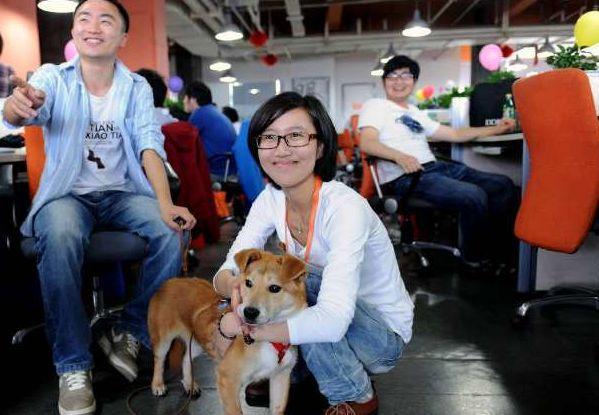 办公室里养宠物, 这样的公司你心动了吗? 来看看“车祸现场”吧