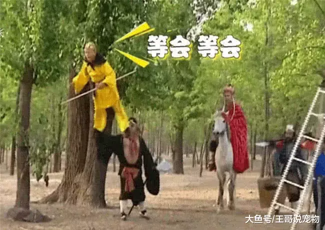 你所不知的《西游记》！猴哥被吊在半空，黄牙老象在打电话，唐僧开的一手好车