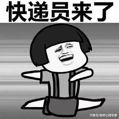 两千块网购一只萨摩，回家后发现看着奇怪，邻居直言被骗了