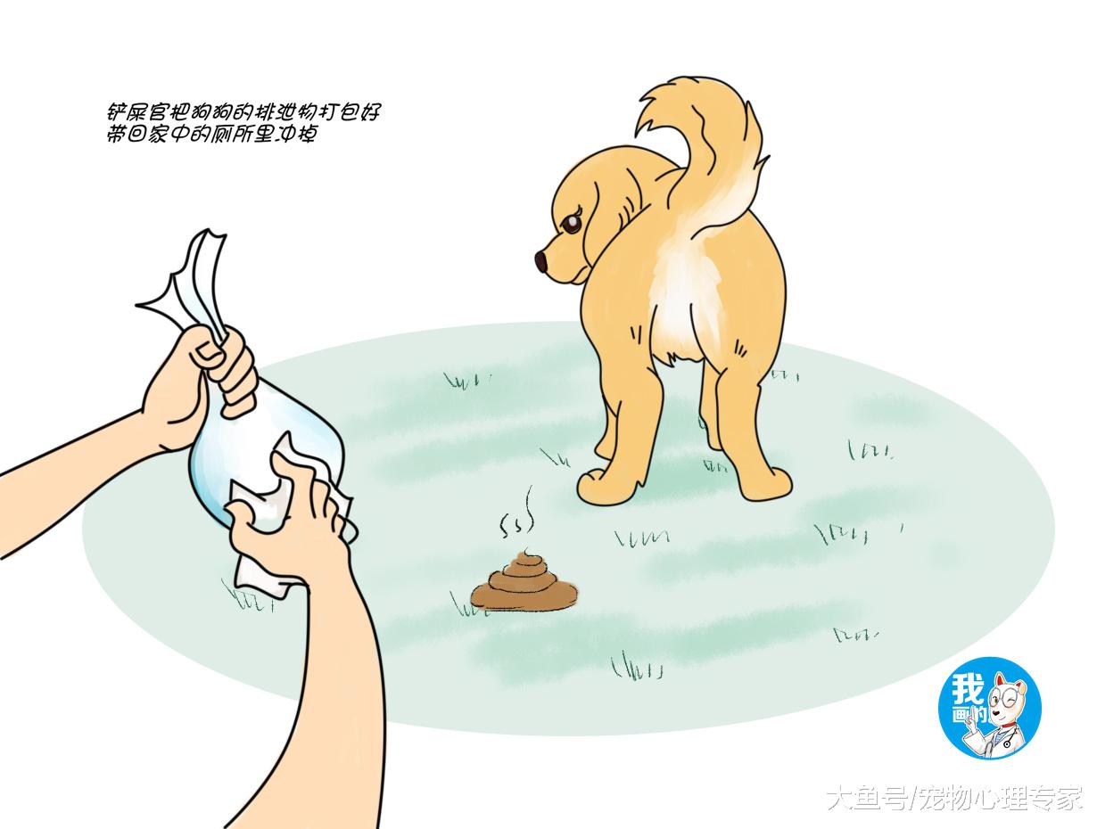 辟谣：狗狗饭后剧烈运动会得阑尾炎？盲肠和阑尾，别傻傻分不清楚