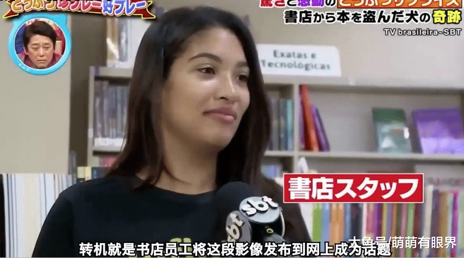 一条流浪狗靠盗窃改变狗命，被上百人争着领养，网友：知识改变命运