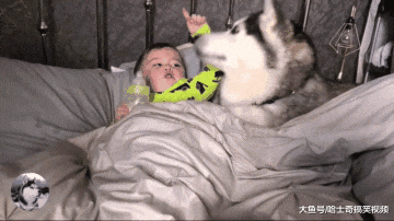 为了引起主人注意，二哈挤到宝宝身边装婴儿，谁不是宝宝呢