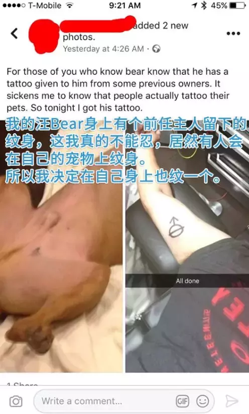 跟收养的狗狗同款纹身，没想到它的意思竟是...