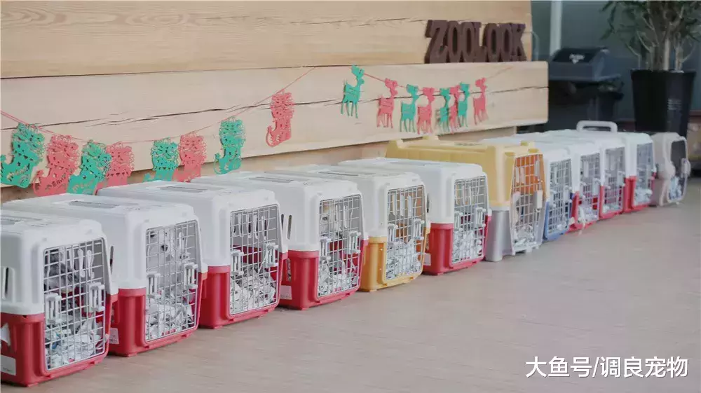 成长总是在不经意间发生||82期专业课进行中