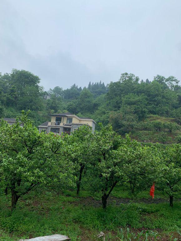 60多万回乡自建小别墅，设计搭配自然环境相融合越看越喜欢