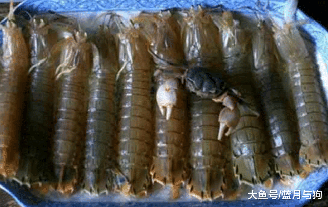 80块一斤的皮皮虾，煮熟后竟变这样，我当场报警