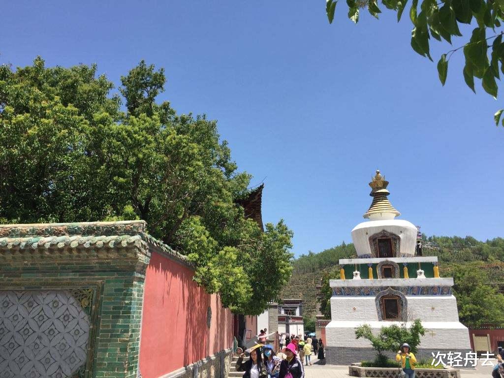 一颗菩提果给我的启示，让我看透生命的轮回，你悟了吗？