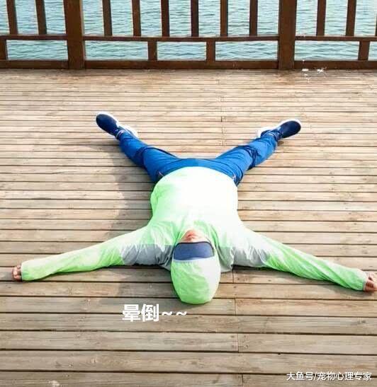 主人装晕测试二哈忠诚度，刚刚倒地30秒，心就慢慢开始凉了
