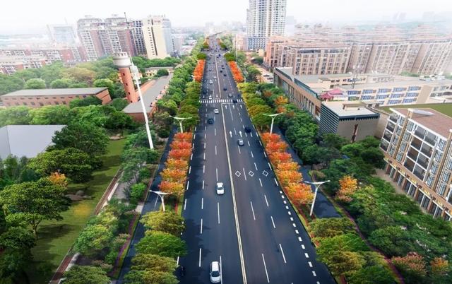 降价被批“扰乱楼市”，炒房客被批扰乱楼市，究竟谁扰乱了楼市？
