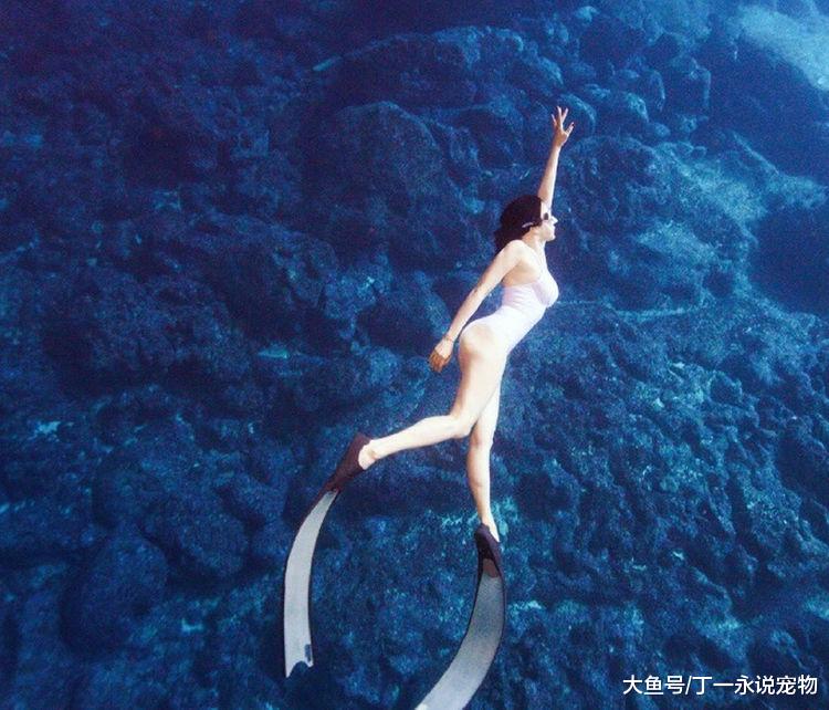 钟丽缇水下世界，大秀性感好身材，网友：微胖才是最美的！