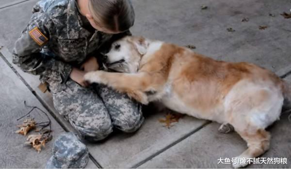 狗狗怎么养才长寿? 兽医告诉你, 秘诀原来在主人上!