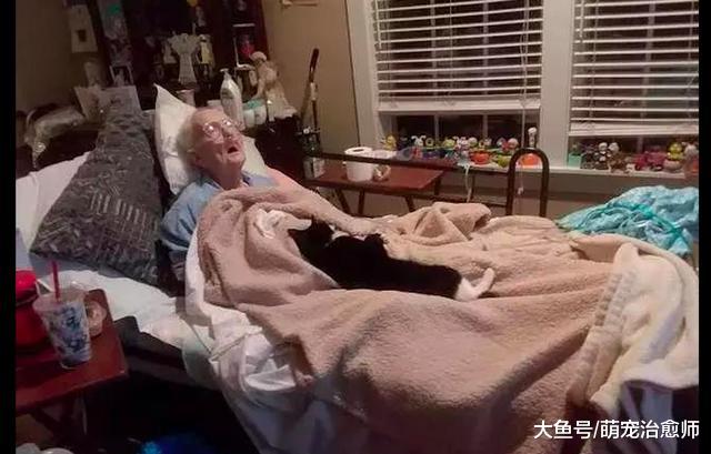 猫咪知道奶奶将要离开，总会送来特殊的“礼物”，默默陪在她身边