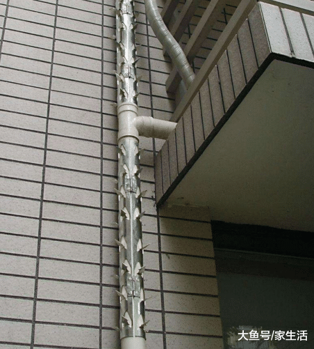 头一次见阳台不装防盗网了，好多有钱人都装这种，管用多了