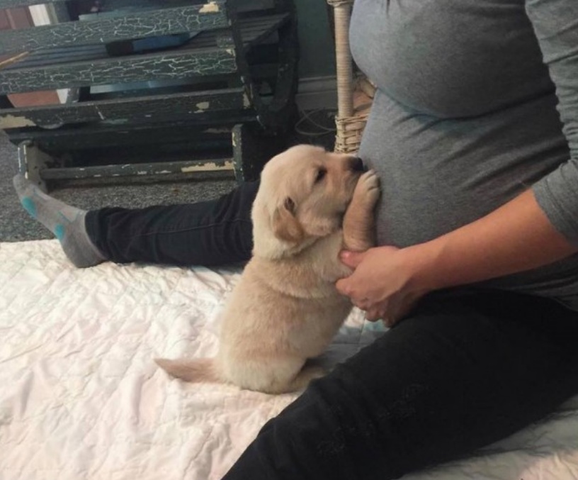 “小主人，祝你平安出生哦！”幸福是什么？平凡的宁静就是幸福