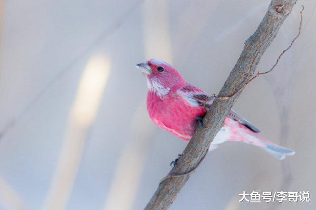 心态放宽的经典语录，内涵深刻，耐人寻味！