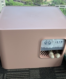 猫砂盆一直都有很重的异味？这三个除臭妙招，你学会了吗？