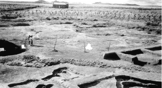 中国古代未解之谜, 龙可能真的存在, 龙的传人不是白叫的