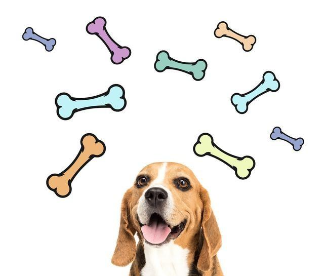 五毒之一的蜈蚣，为什么毒不死大公鸡？