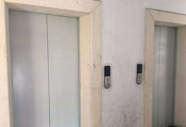 为什么买房买顶楼是最划算的？空气好还安静，整个天台都是你家的