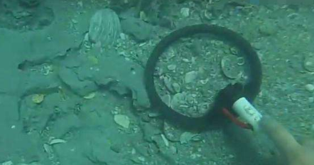 男子浅滩散步时，无意间瞄到水里有闪闪亮亮的东西，捞上后乐开了花