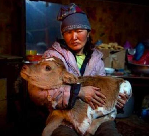 外蒙古脱离中国快满百年, 现在发展成什么样了? 说出来无法相信