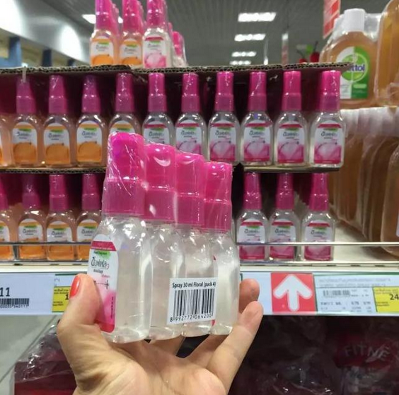 猫咪夏天意外死亡手册