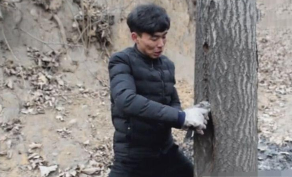 小伙发现树上长羽毛，伸手一扯被咬了，仔细一看兴奋不已