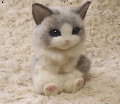 辟谣：猫咪越圆滚滚越好，猫粮随便吃？