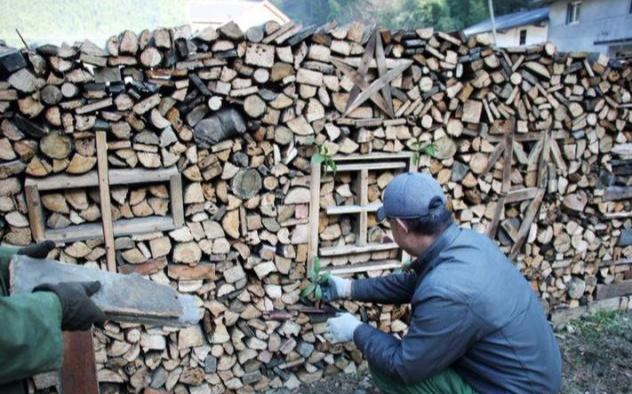 有人专门到农村收“碎木”，2毛钱一斤，一年赚十几万，你信吗