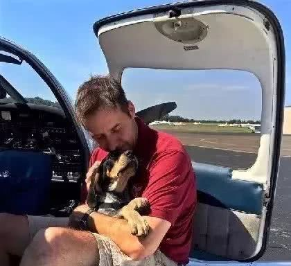 即将被安乐死的大白熊犬，遇到了一位开着飞机来拯救它的英雄！